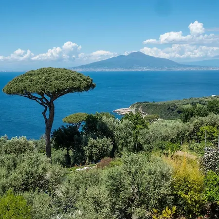 Torre Cangiani Gospodarstwo agroturystyczne