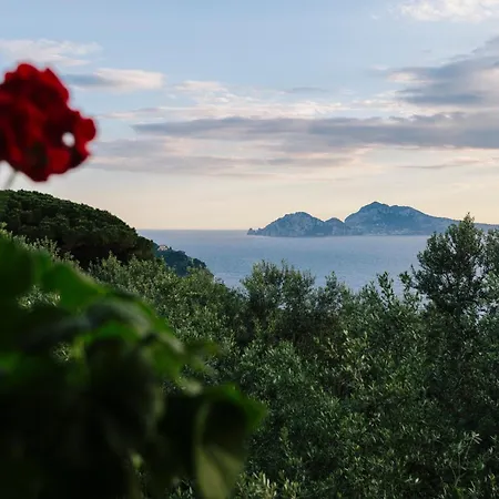 Torre Cangiani Farm stay