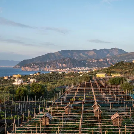 Torre Cangiani Farma Massa Lubrense
