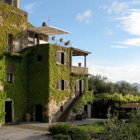 Torre Cangiani Farma *