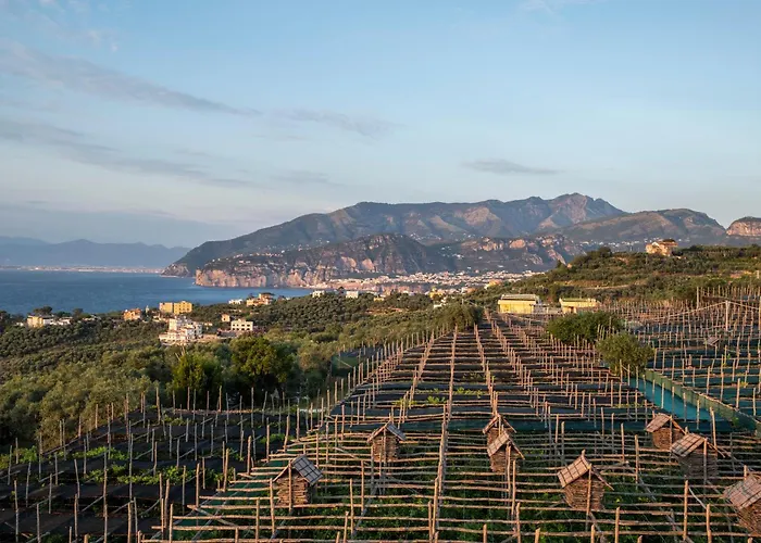 Torre Cangiani Agroturismo Massa Lubrense