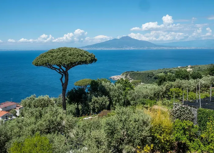 Torre Cangiani Agroturismo